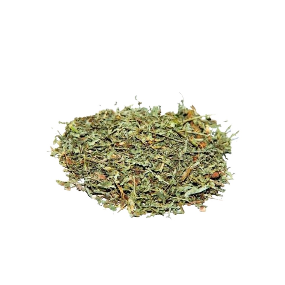 Artemisia cha - 100g