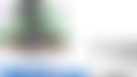 7가지 긴급 사안들 – TVNext 뉴스