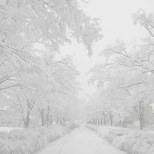 雪景色_透過-1.jpg