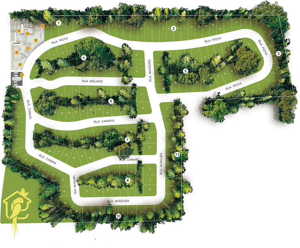 MAPA-LOTES-8.png