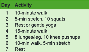 workout schedule