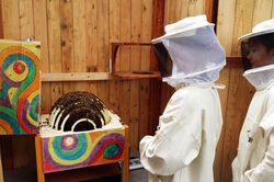 D7 Sommer Staunende Besucher an der Bien