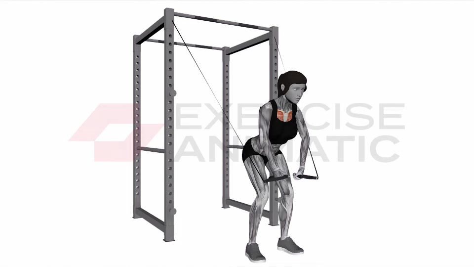 3D animation of a female performing Band High Fly Female with muscle highlights