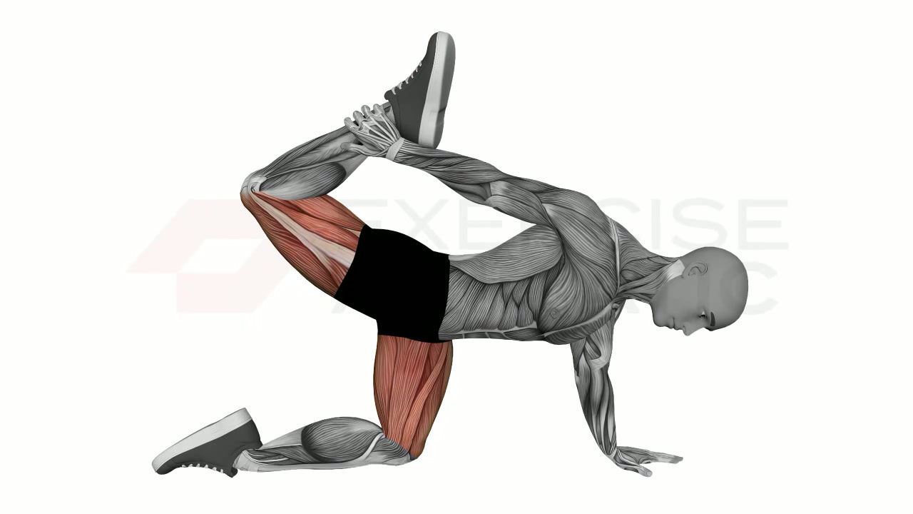 All fours quad stretch