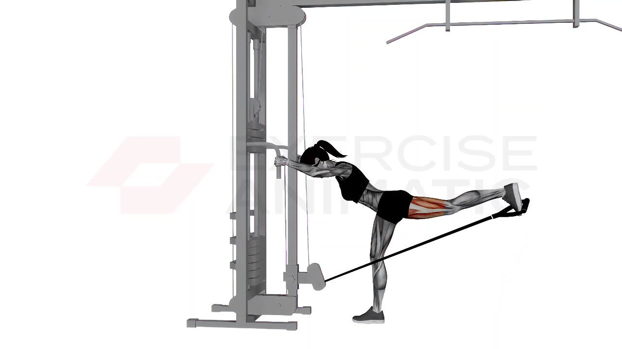 3D animation of a female performing cable individual glute kickbacks with muscle highlights