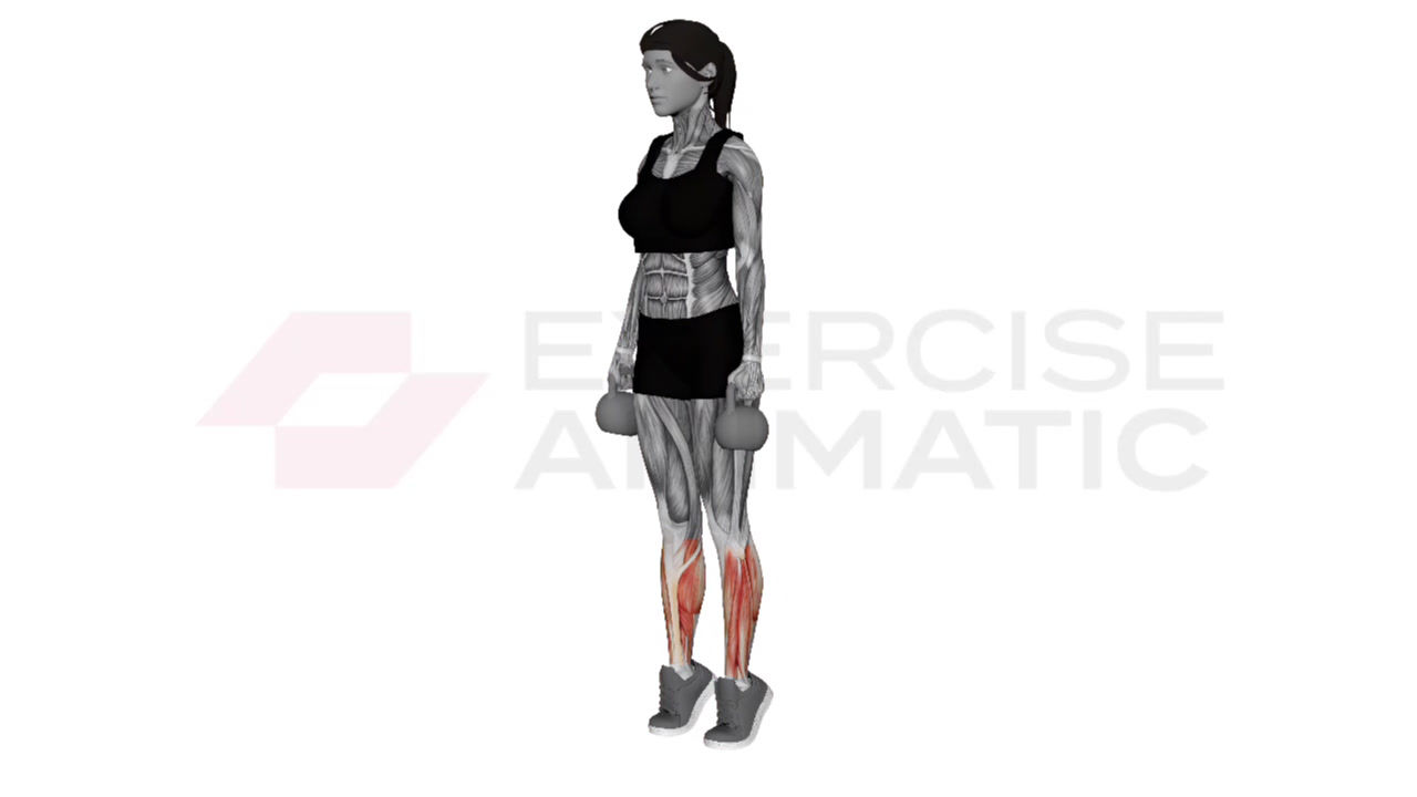 3D animation of a female performing Kettlebell Calf Raise with muscle highlights