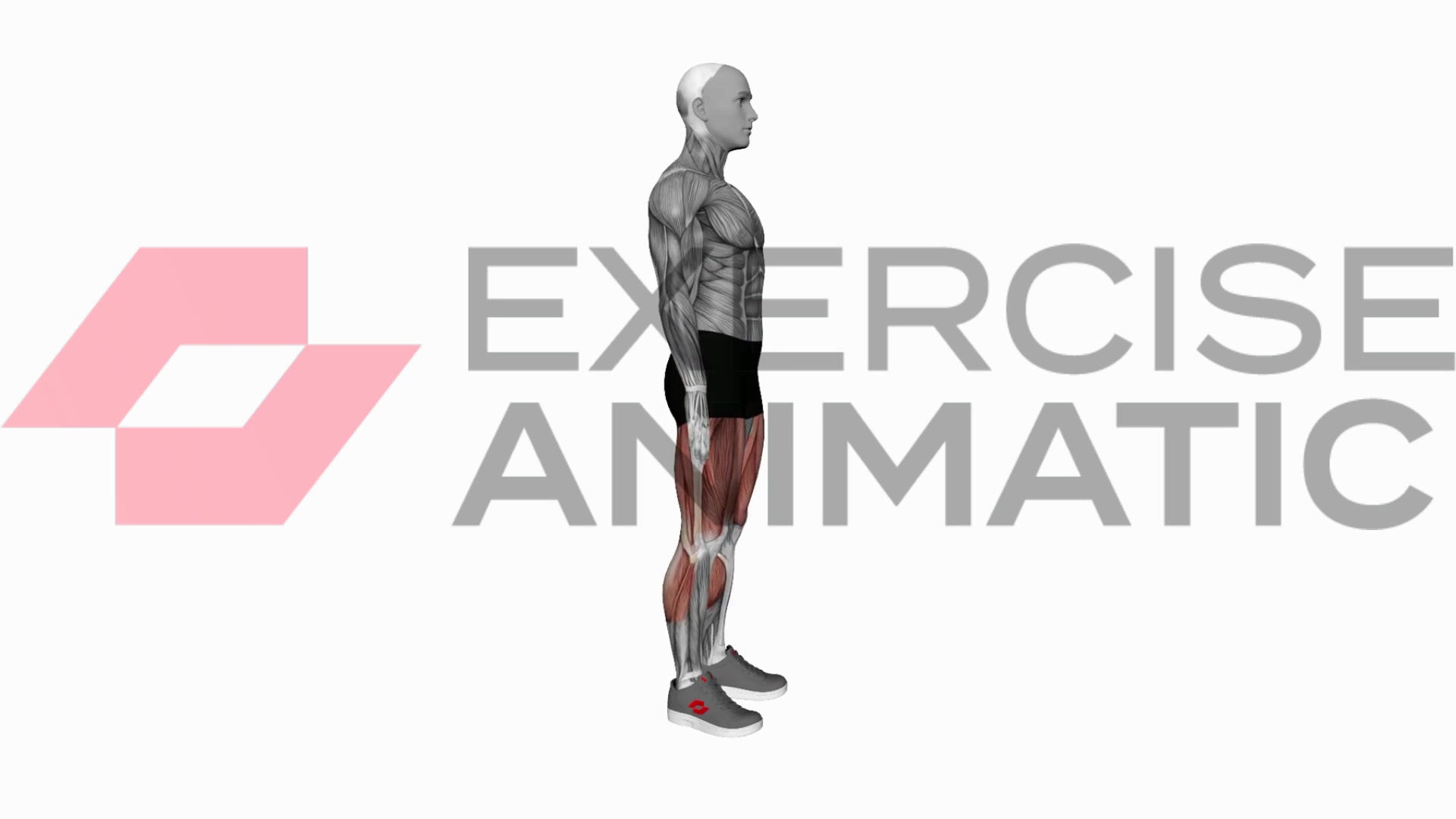 3D animation of a male performing Alternate sprinter lunge with muscle highlights