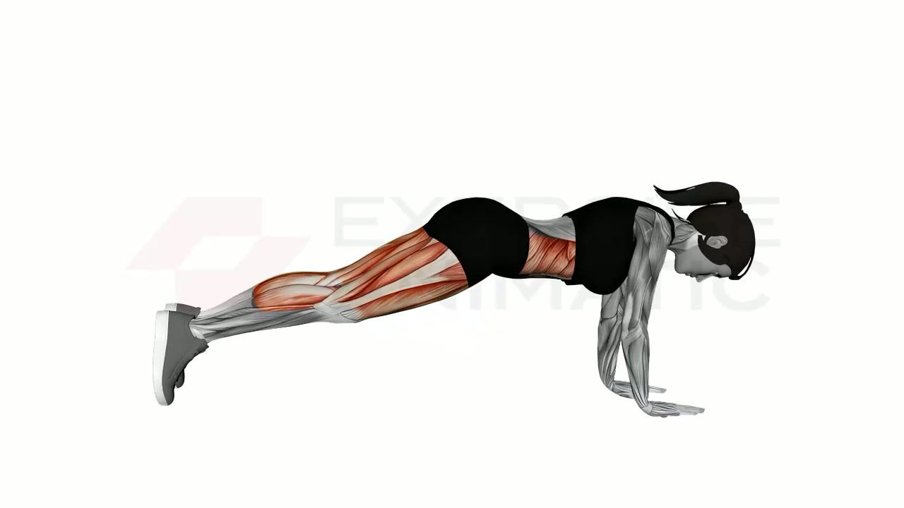 3D animation of a female performing Mountain Climber with muscle highlights