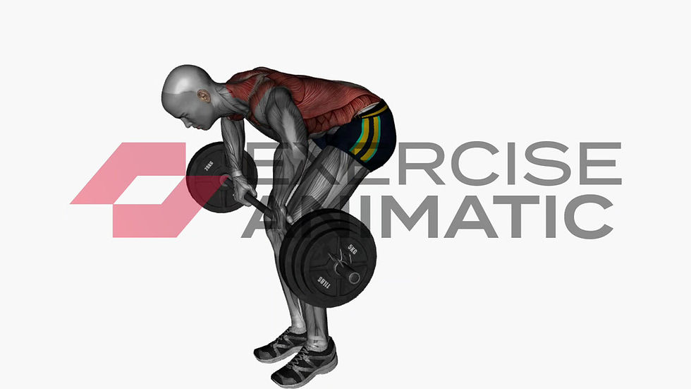 3D animation of a male performing Pendlay Row with muscle highlights