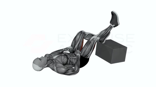 Dumbbell Feet Elevated Single Leg Glute Bridge Exercise Animatic