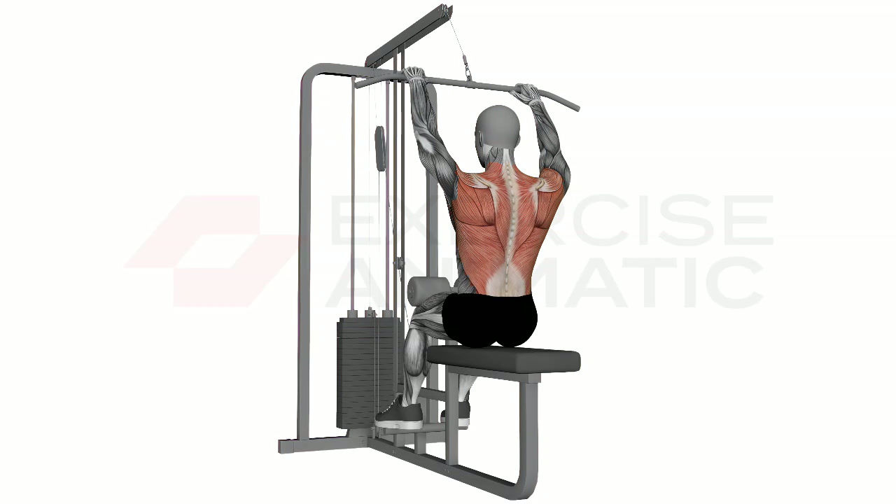3D animation of a male performing Lat Pull Down Close Grip with muscle highlights