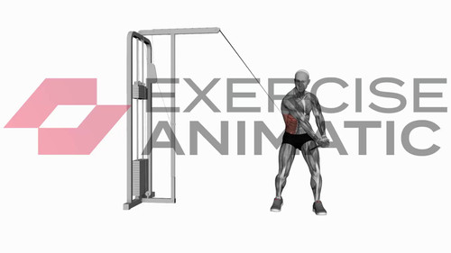 Cable twist (up-down) | Exercise Animatic
