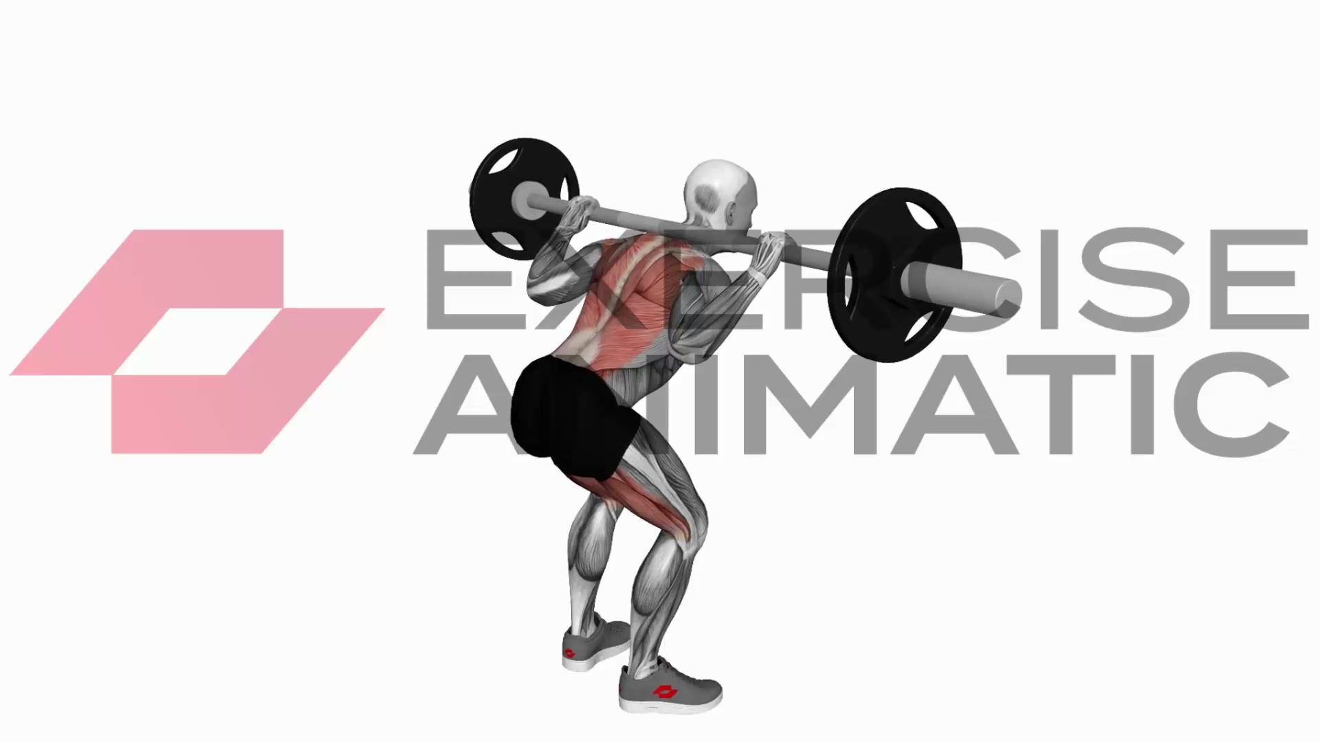 3D animation of a male performing Barbell Good Morning with muscle highlights