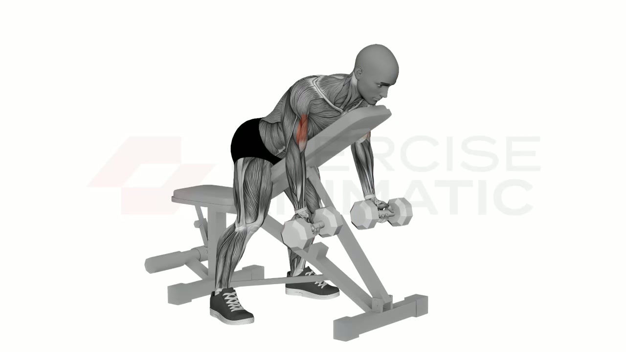 3D animation of a male performing Spider Curl Dumbbells Simultaneous with muscle highlights