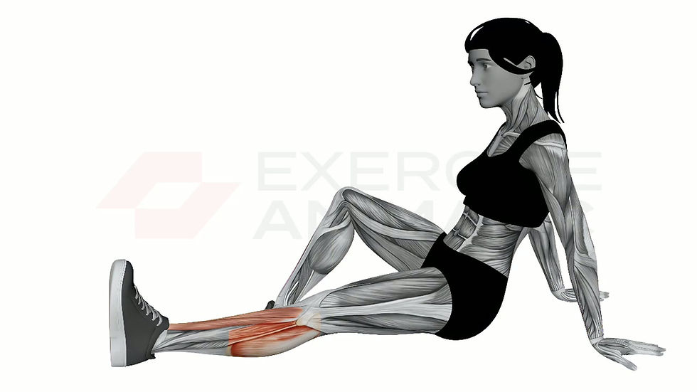 3D animation of a female performing Ankle Pumps with muscle highlights