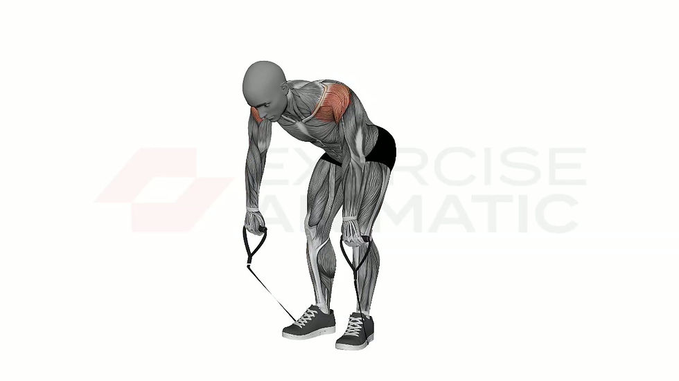 3D animation of a male performing Bent Over Rear Deltoid Fly Resistance Band with muscle highlights