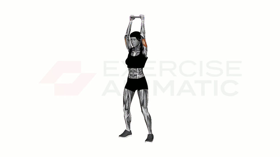 3D animation of a female performing Plate Overhead Tricep Extension with muscle highlights