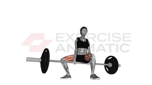Barbell Jefferson Squat Female Exercise Animatic