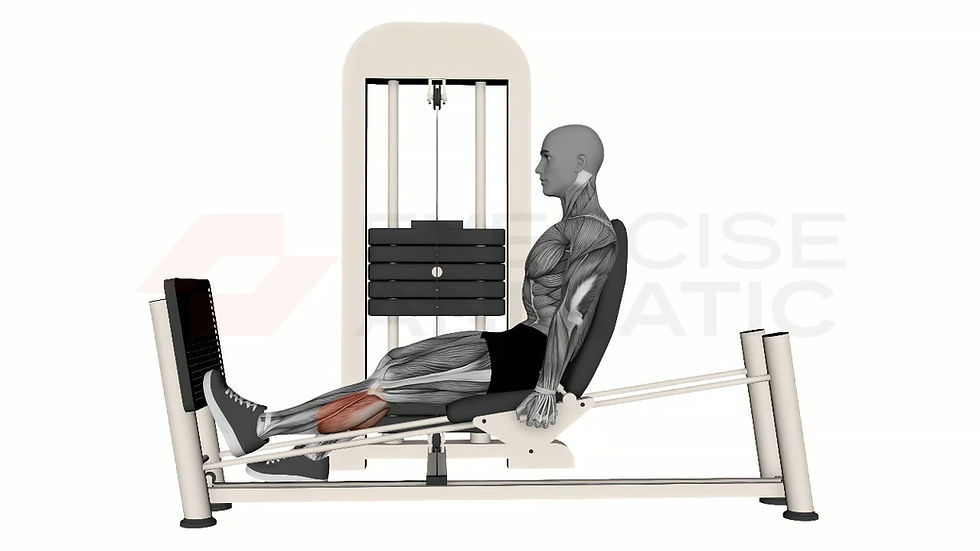 3D animation of a male performing Horizontal Leg Press Calf Raise Single Leg with muscle highlights