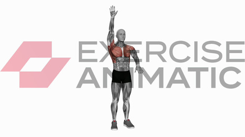 Arms up and down | Exercise Animatic