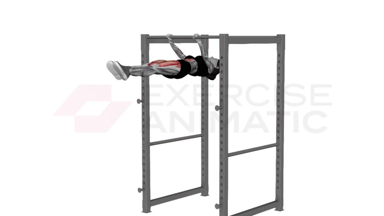 3D animation of a female performing front lever raise to hold with muscle highlights