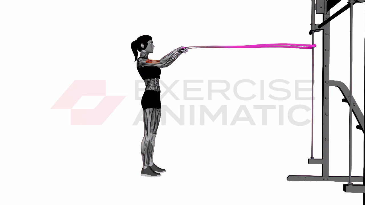 3D animation of a female performing band high reverse curl with muscle highlights