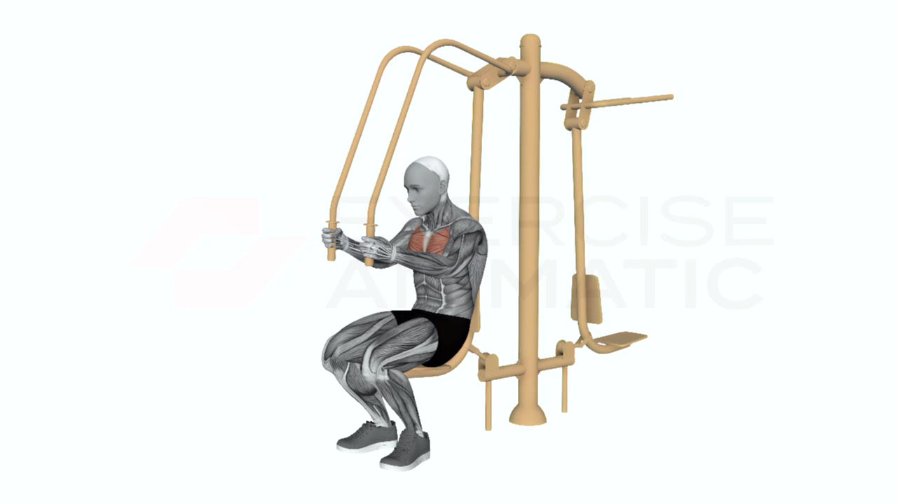 3D animation of a male performing push pull front handle push with muscle highlights