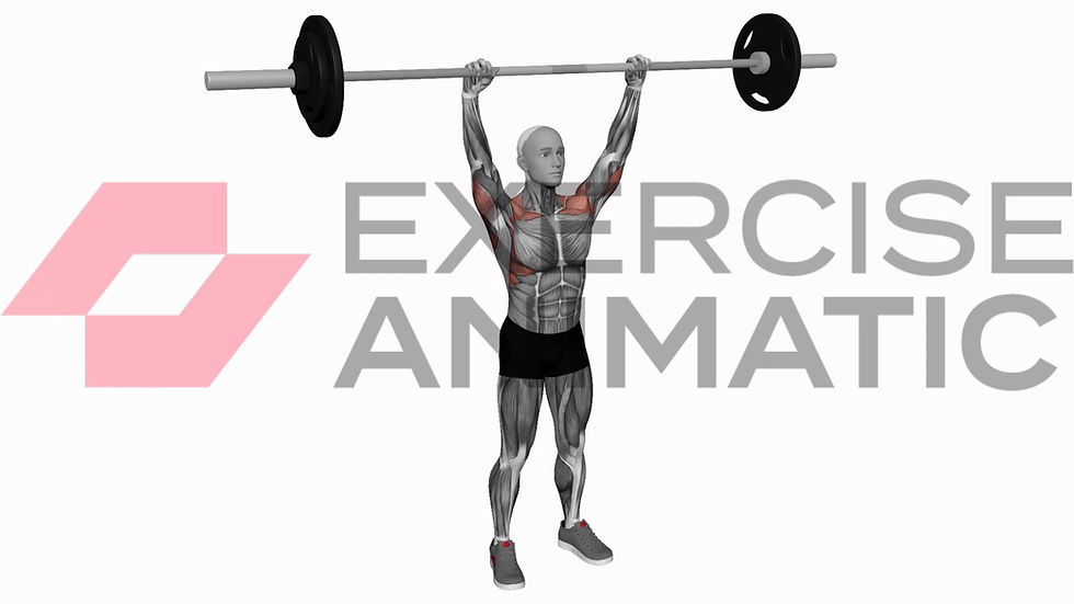 3D animation of a male performing Barbell standing shoulder press with muscle highlights