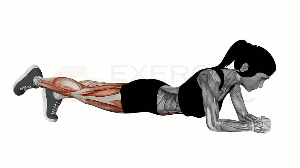 3D animation of a female performing Unilateral Plank with muscle highlights
