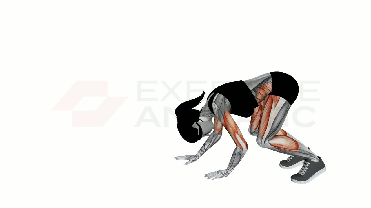3D animation of a female performing Walkout with muscle highlights