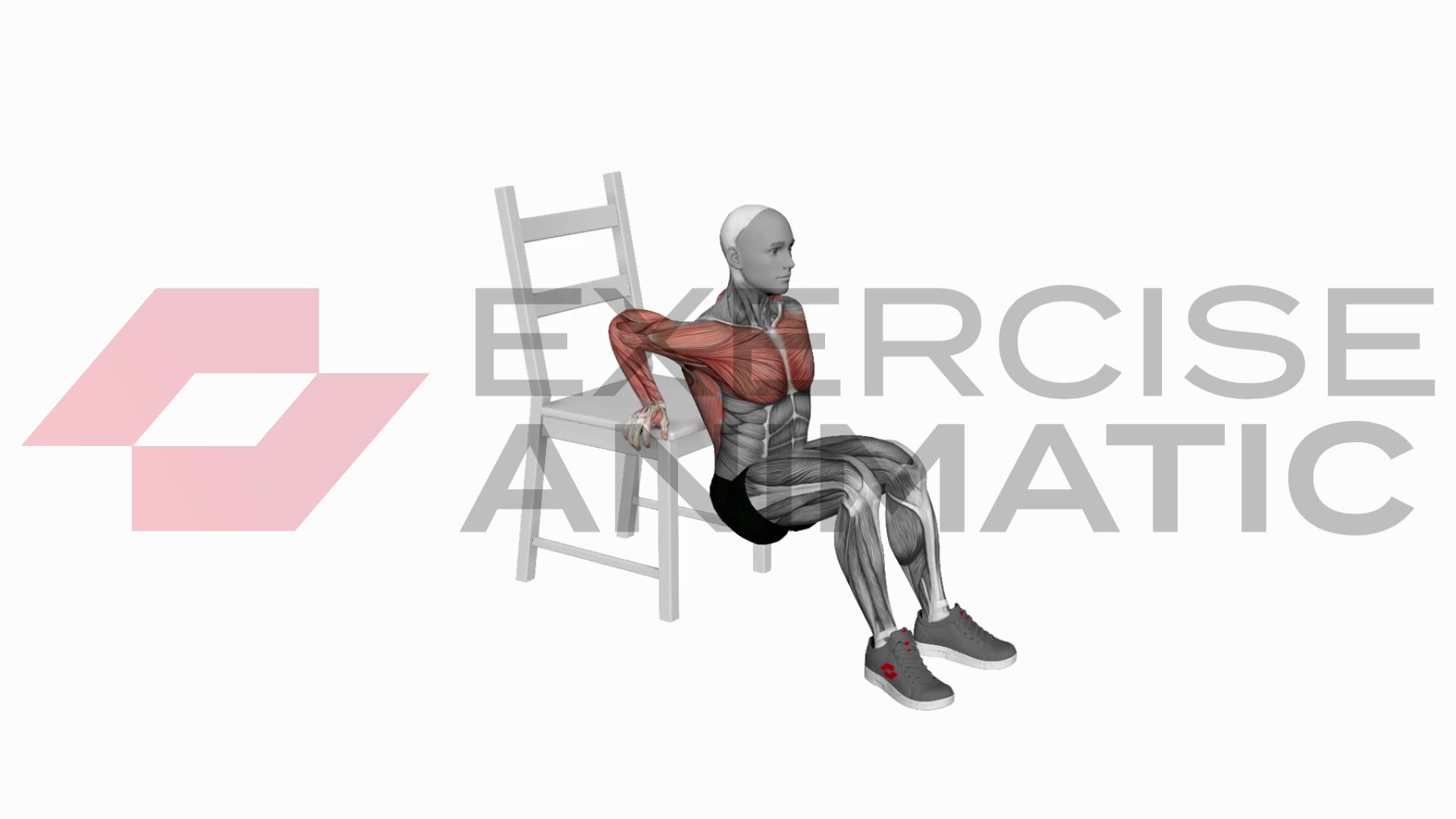 3D animation of a male performing Dip on Floor with Chair with muscle highlights