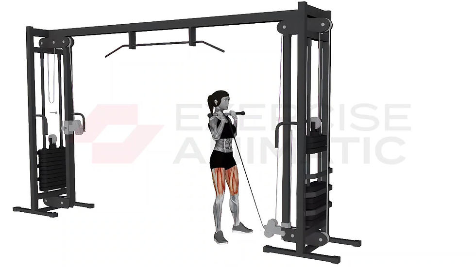3D animation of a female performing cable goblet squat with muscle highlights