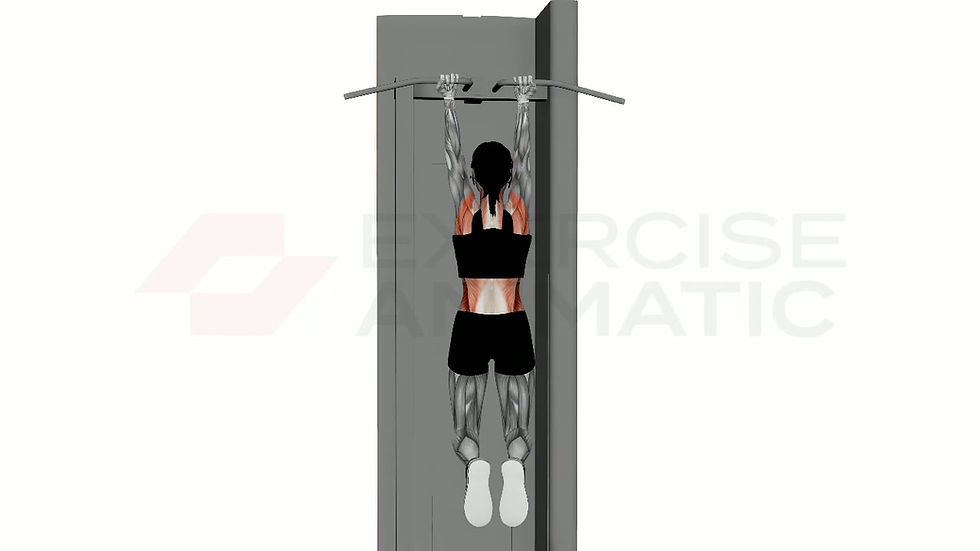 3D animation of a female performing Chin Up Reverse Normal Grip with muscle highlights