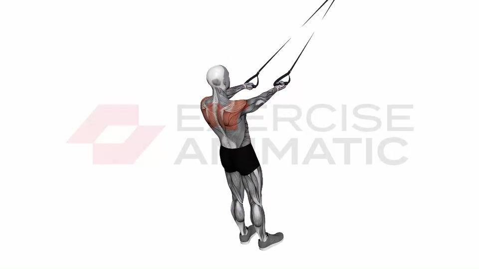 Suspension Trainer with Grips Split Fly