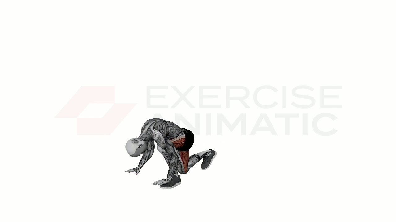 3D animation of a male performing Runners Lunge with muscle highlights