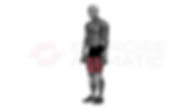 3D animation of a male performing Kettlebell Reverse Lunge with muscle highlights