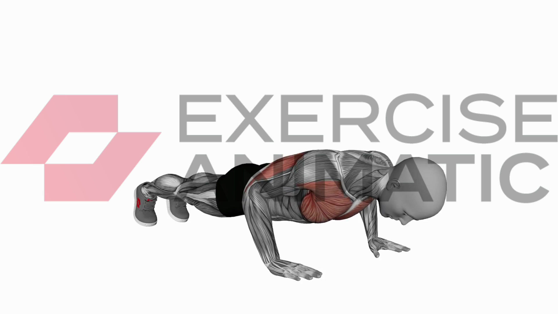 3D animation of a male performing Explosive push ups with muscle highlights