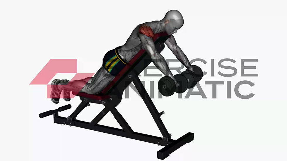 3D animation of a male performing Prone rear delt fly on bench with muscle highlights
