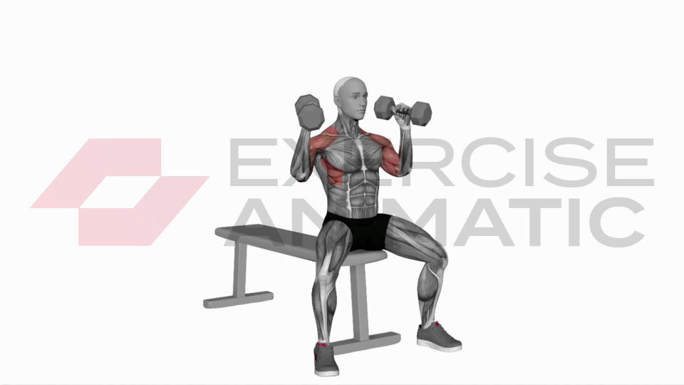 3D animation of a male performing Dumbbell Arnold Press (Version 2) with muscle highlights