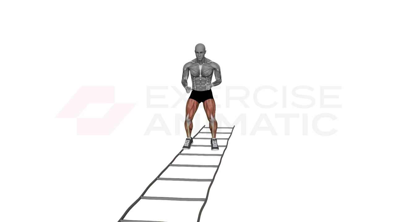 3D animation of a male performing Agility Ladder Lateral Movement In In Out with muscle highlights