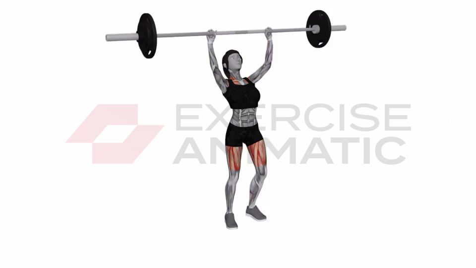 3D animation of a female performing Barbell Clean and Jerk with muscle highlights