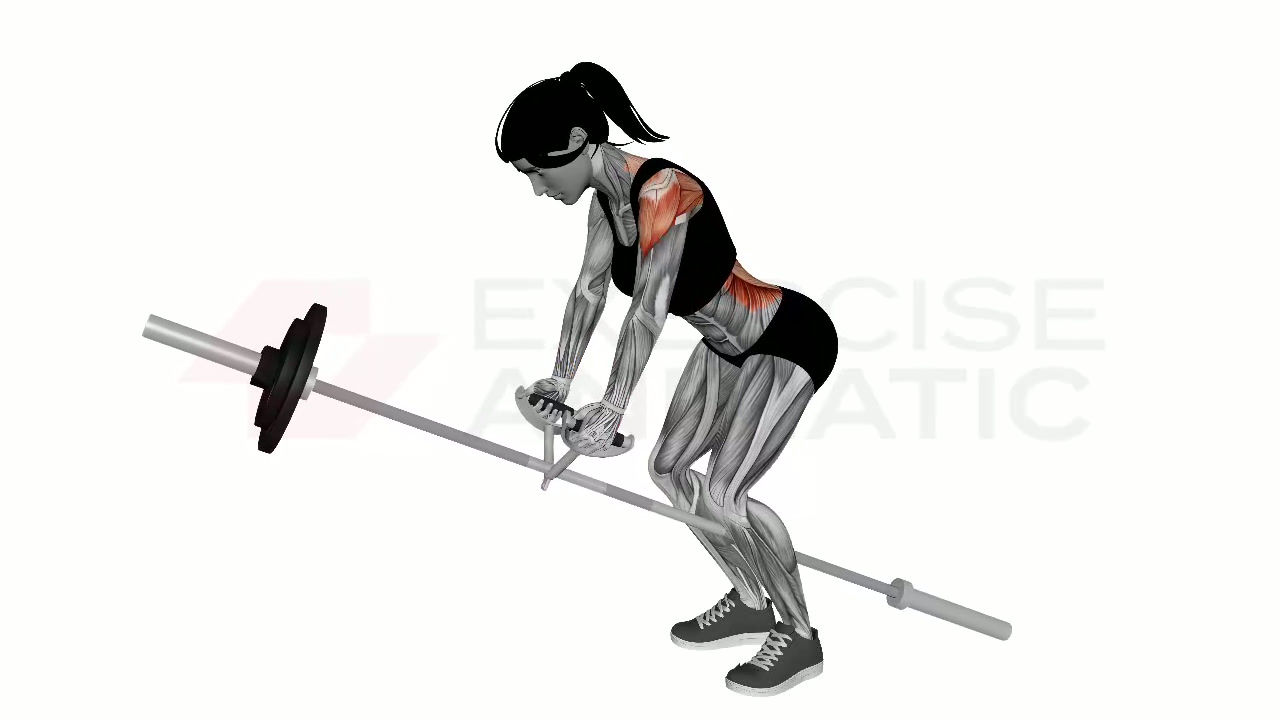 3D animation of a female performing Land Mine Row with muscle highlights