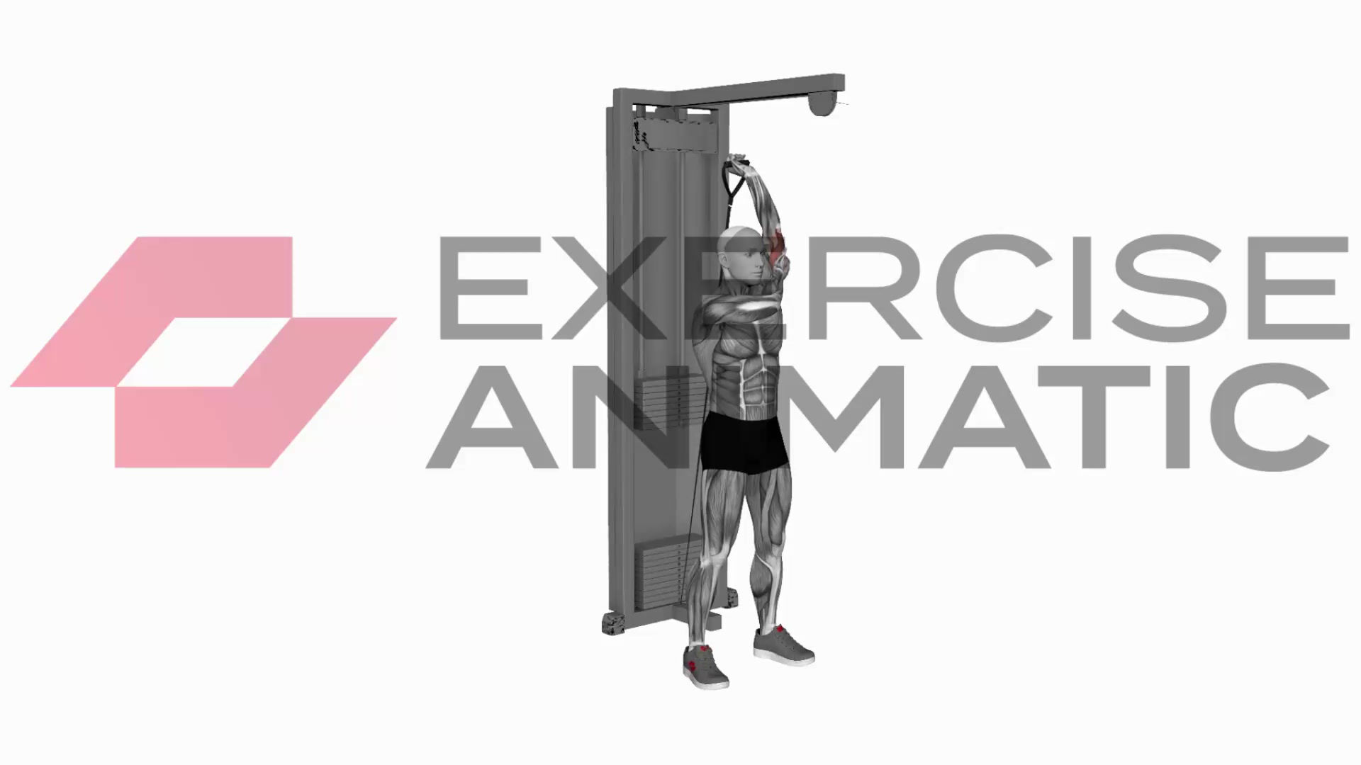 3D animation of a male performing Cable Alternate Triceps Extension with muscle highlights