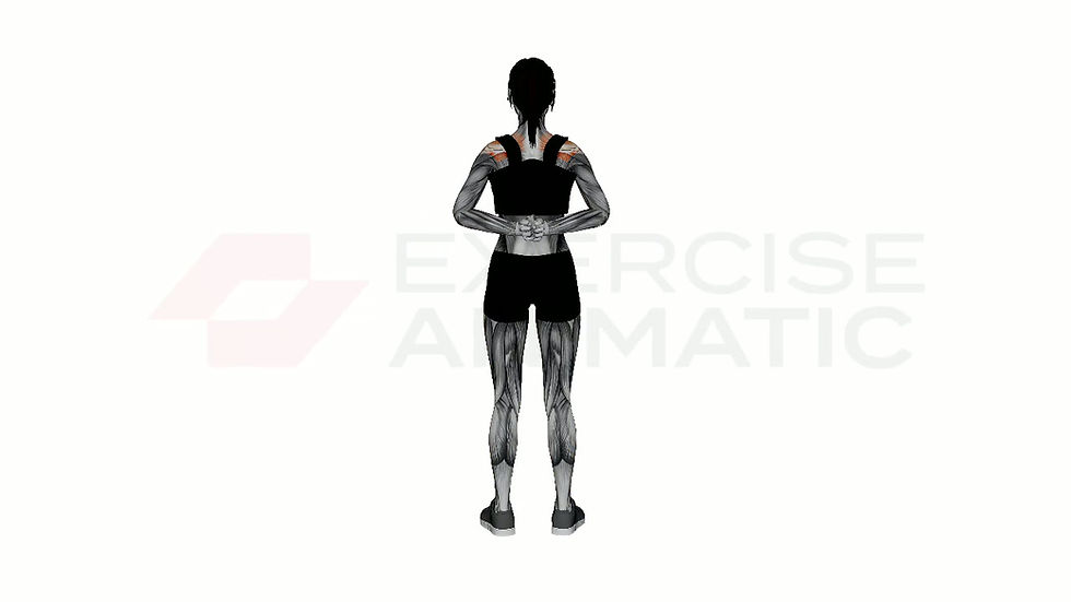 3D animation of a female performing Reverse Prayer with muscle highlights