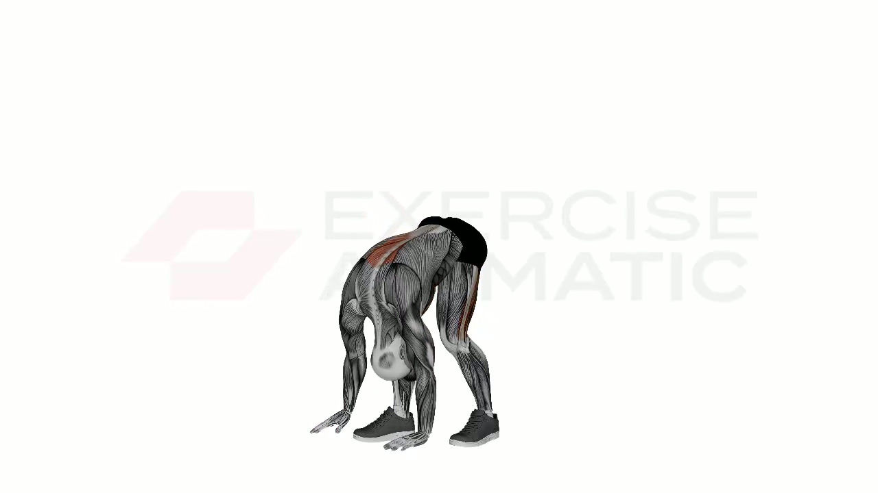 3D animation of a male performing Pyramid Pose (Parsvottanasana) with muscle highlights
