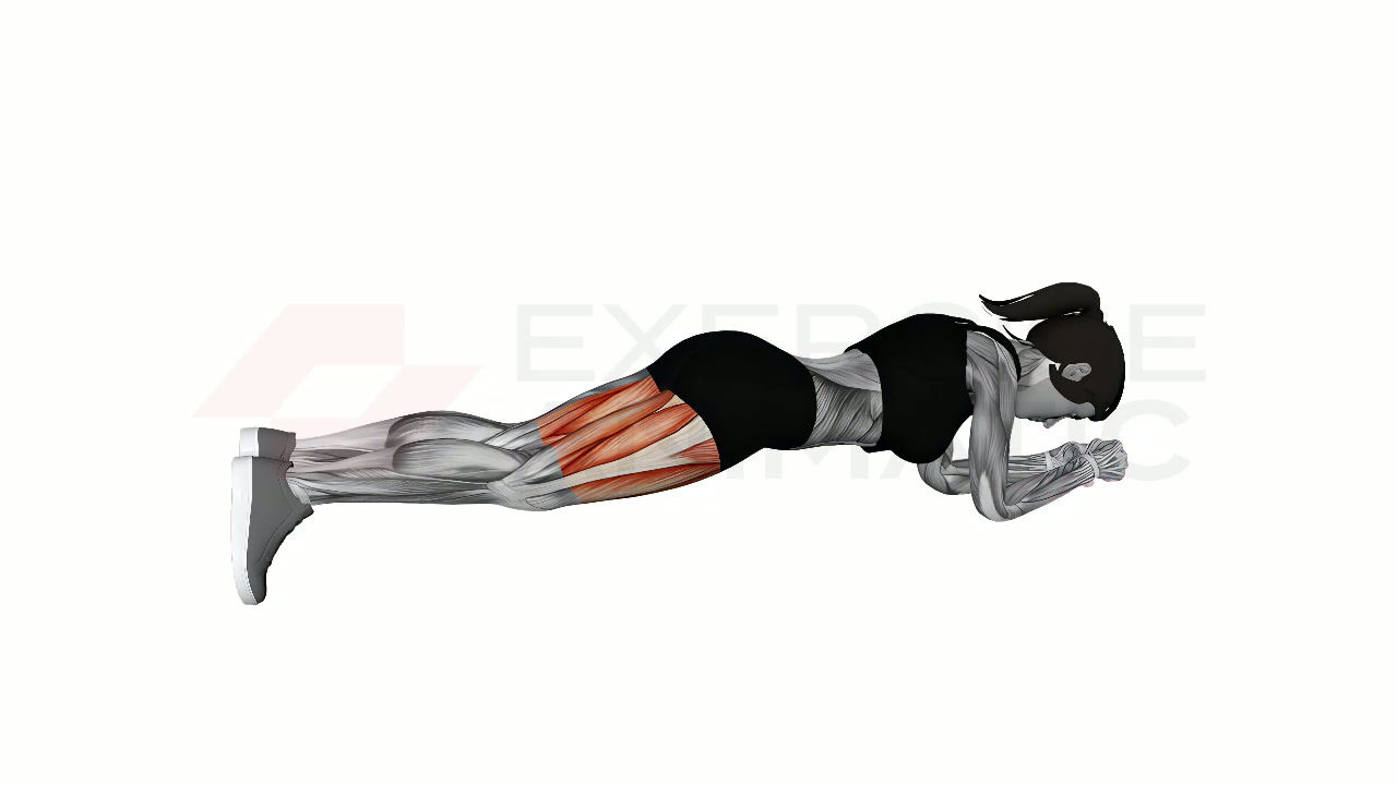 3D animation of a female performing Alternate Arm Leg Plank Rest Pause with muscle highlights
