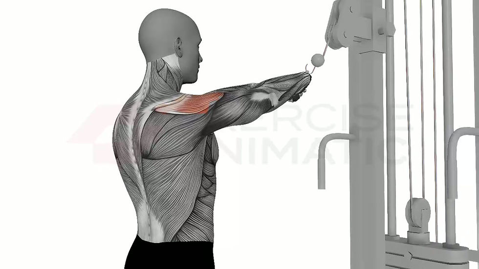 3D animation of a male performing Cable Face Pull with Rope with muscle highlights