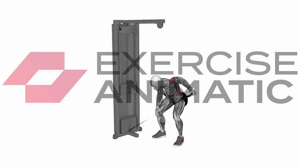 3D animation of a male performing Cable Bent Over One Arm Lateral Raise with muscle highlights