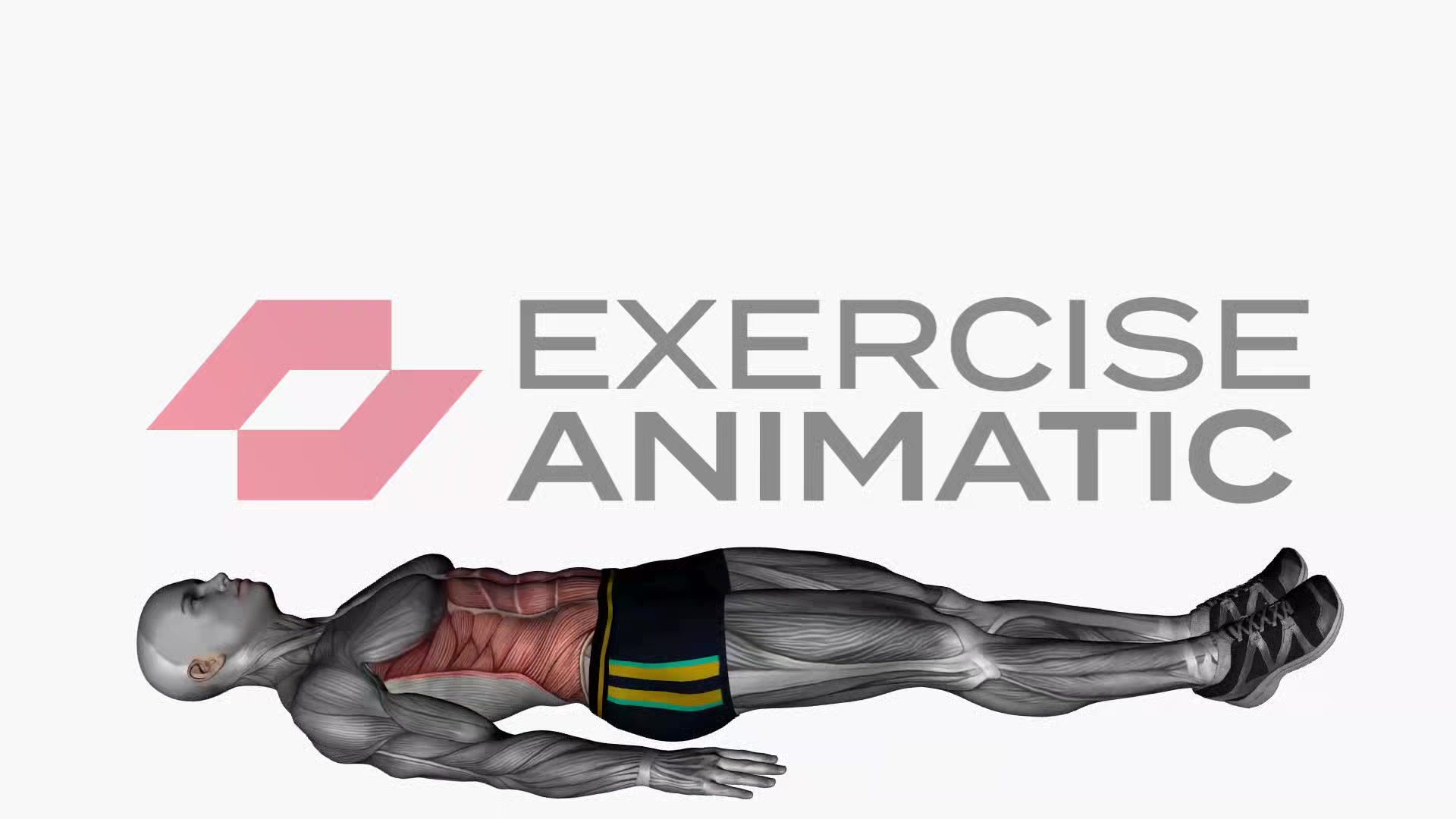 3D animation of a male performing Jack Knives with muscle highlights
