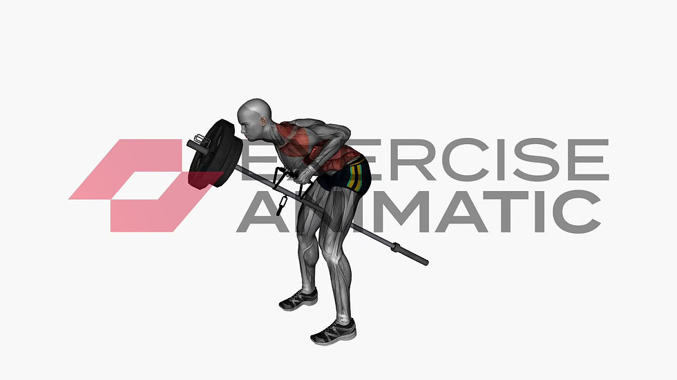 3D animation of a male performing Land Mine Row with muscle highlights